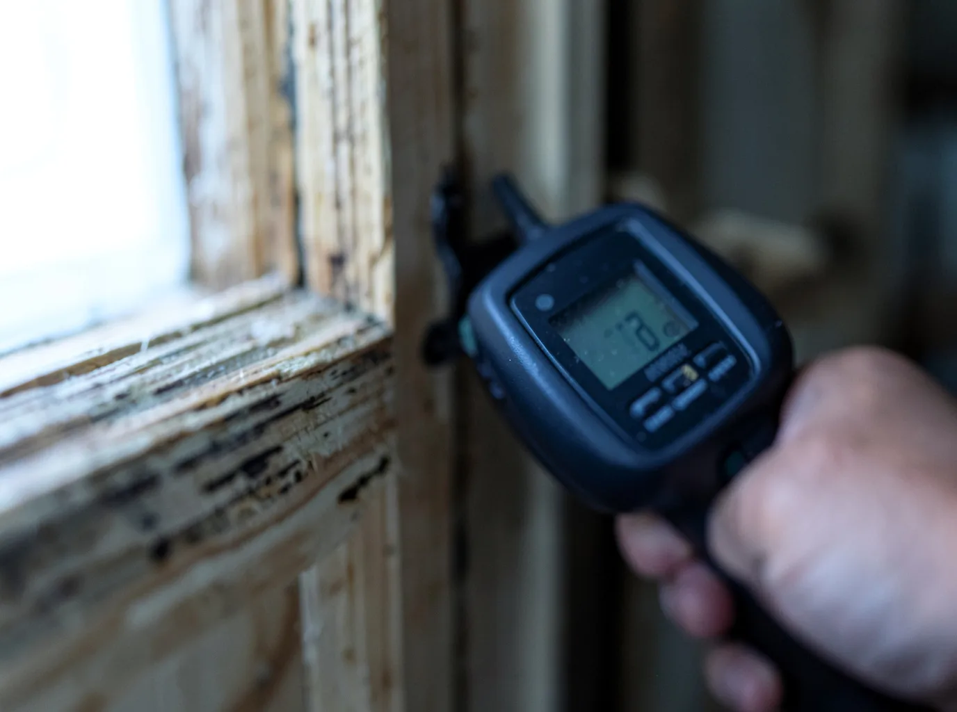 Moisture Inspection And Documentation in Hartsel, CO